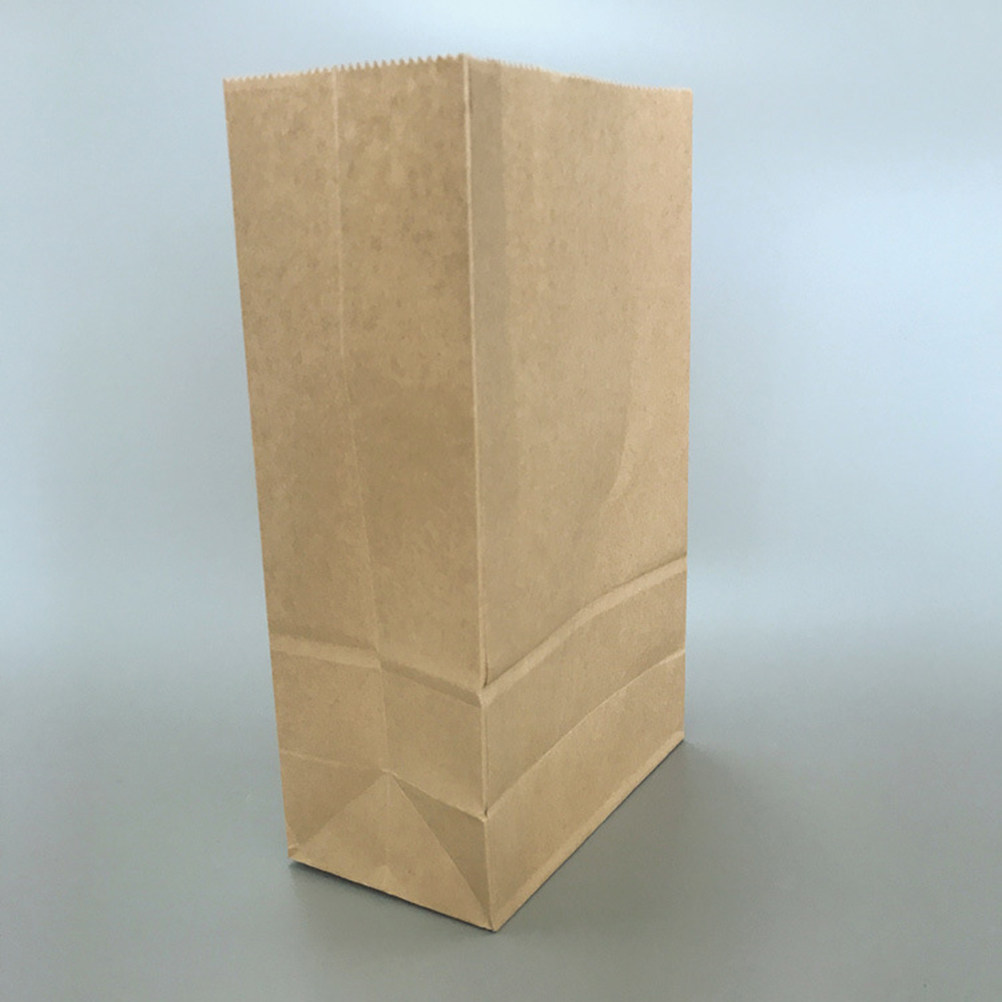 100pcs 크래프트 종이 봉투 소형 대형 저장 용기  - Food Storage Eco Friendly 리뷰 및 가격