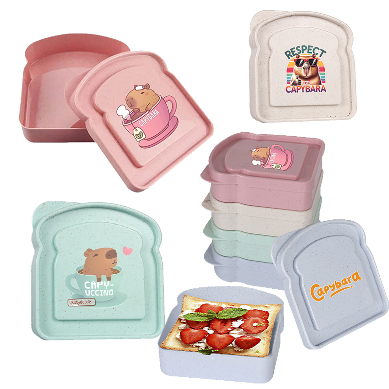 카피바라 샌드위치 음식 보관 케이스 컨테이너 샐러드 과 - Food Storage Boxes With Lids 리뷰 및 가격