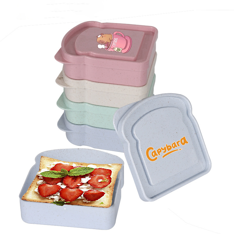 카피바라 샌드위치 음식 보관 케이스 컨테이너 샐러드 과 - Food Storage Boxes With Lids 리뷰 및 가격