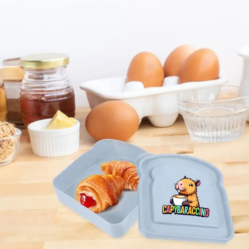 카피바라 샌드위치 음식 보관 케이스 컨테이너 샐러드 과 - Food Storage Boxes With Lids 리뷰 및 가격