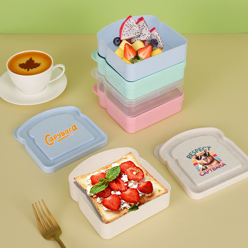 카피바라 샌드위치 음식 보관 케이스 컨테이너 샐러드 과 - Food Storage Boxes With Lids 리뷰 및 가격