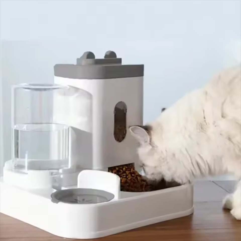 자동 급식기 개 고양이 사료 그릇 물 분수 포함 대용량 - Food Storage Not Plastic 리뷰 및 가격