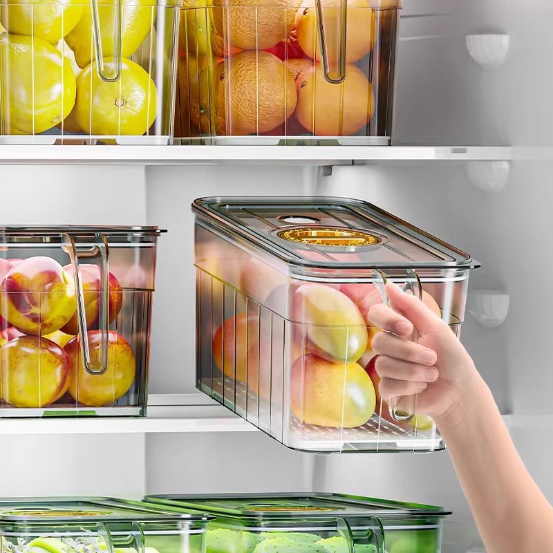 냉장고 정리 보관함, 계란, 과일 및 채소, 식품 등급 - Food Storage Ideas 리뷰 및 가격
